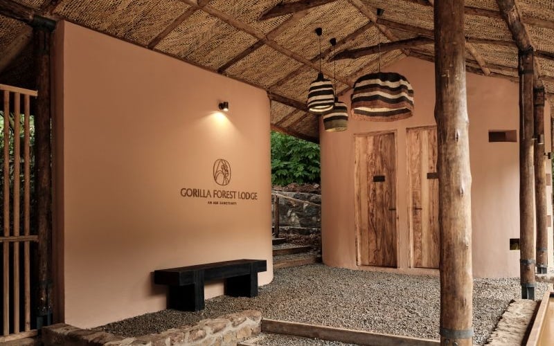 Gorilla Forest Camp, Uganda